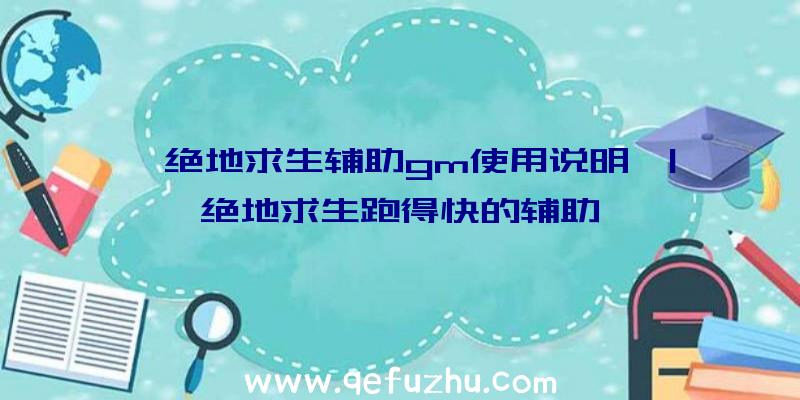 「绝地求生辅助gm使用说明」|绝地求生跑得快的辅助